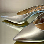 SABOT ARGENTO
